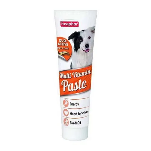 Beaphar Dog Multi-Vitamin Paste Duo-Active 100g