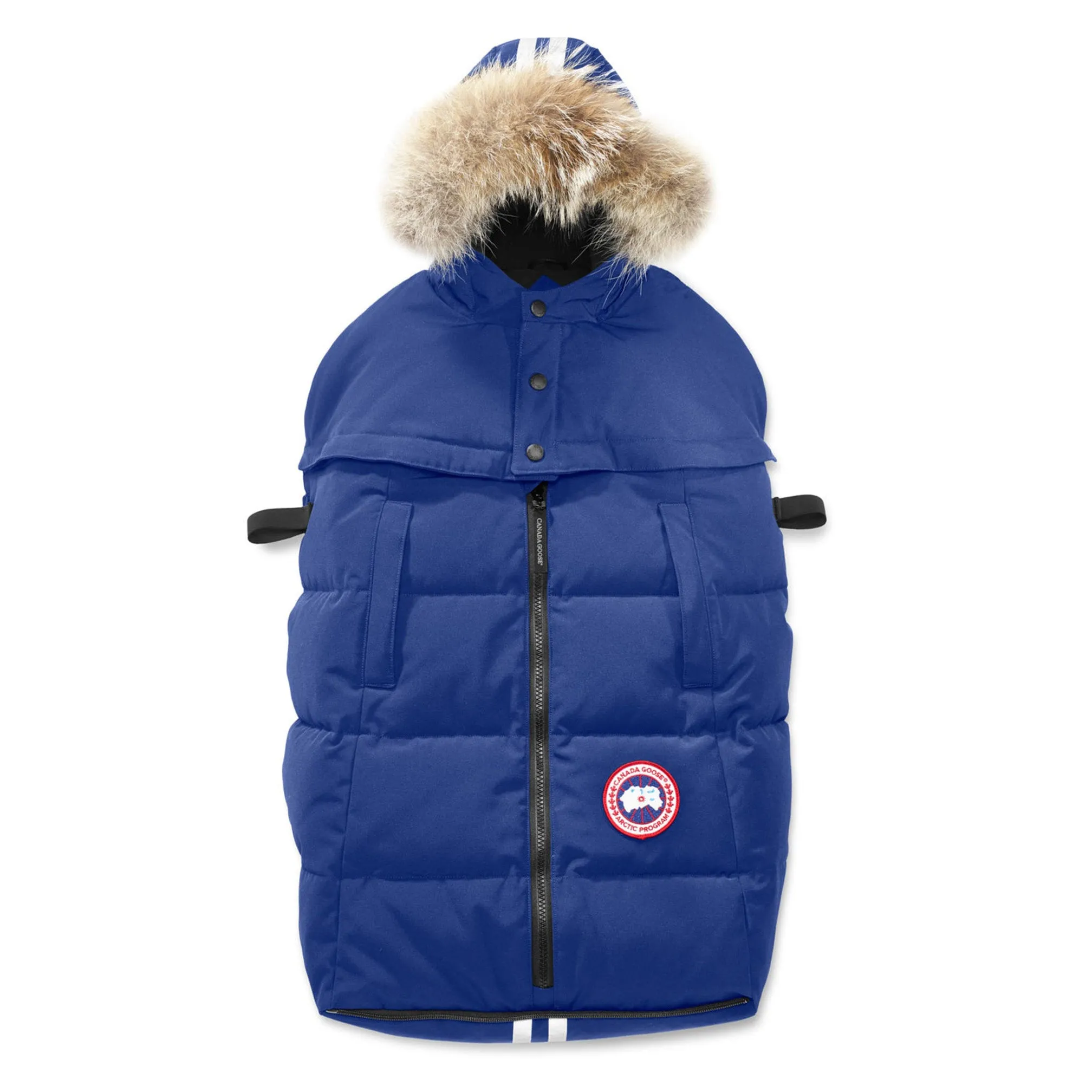Canada Goose Fawn Bunting Blue