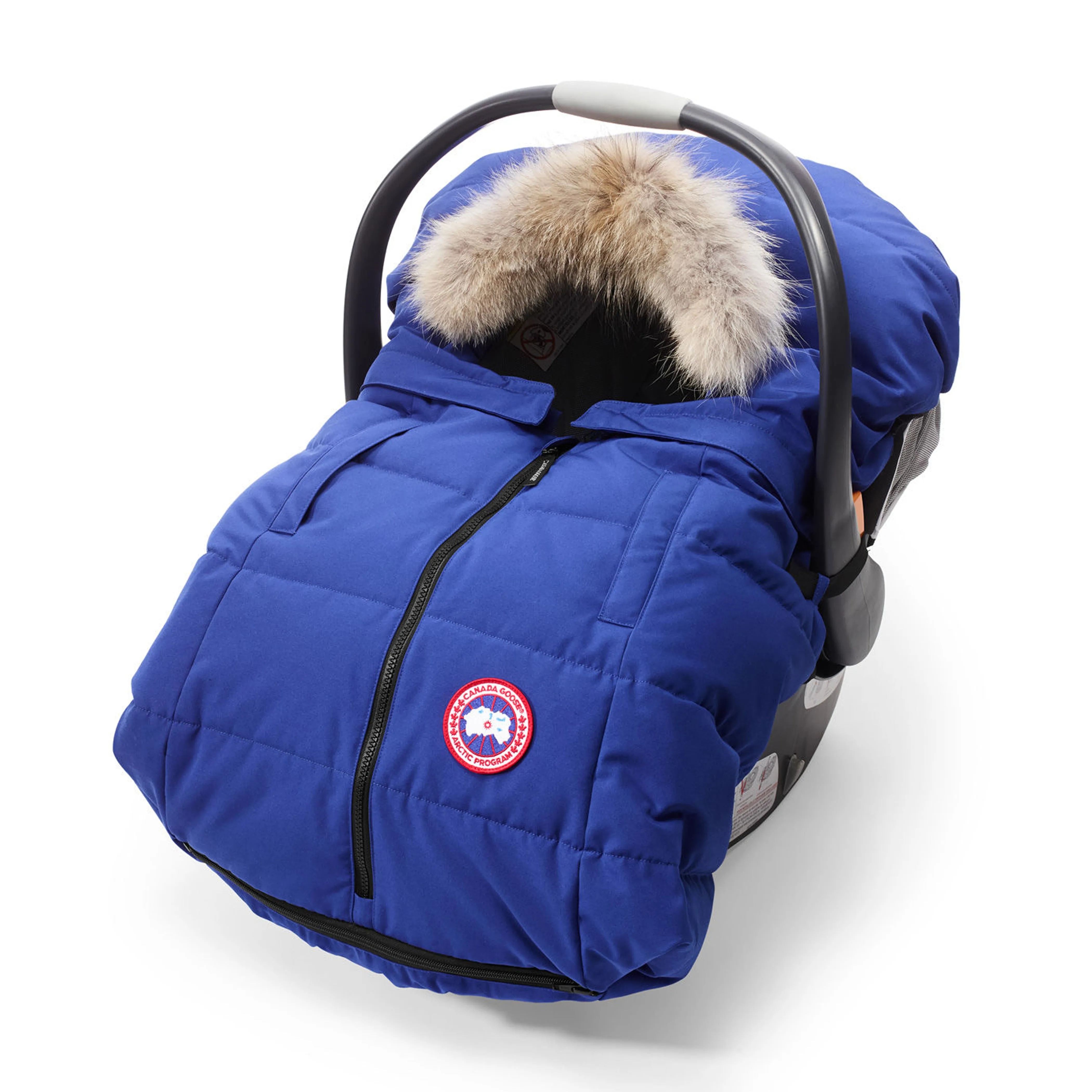 Canada Goose Fawn Bunting Blue
