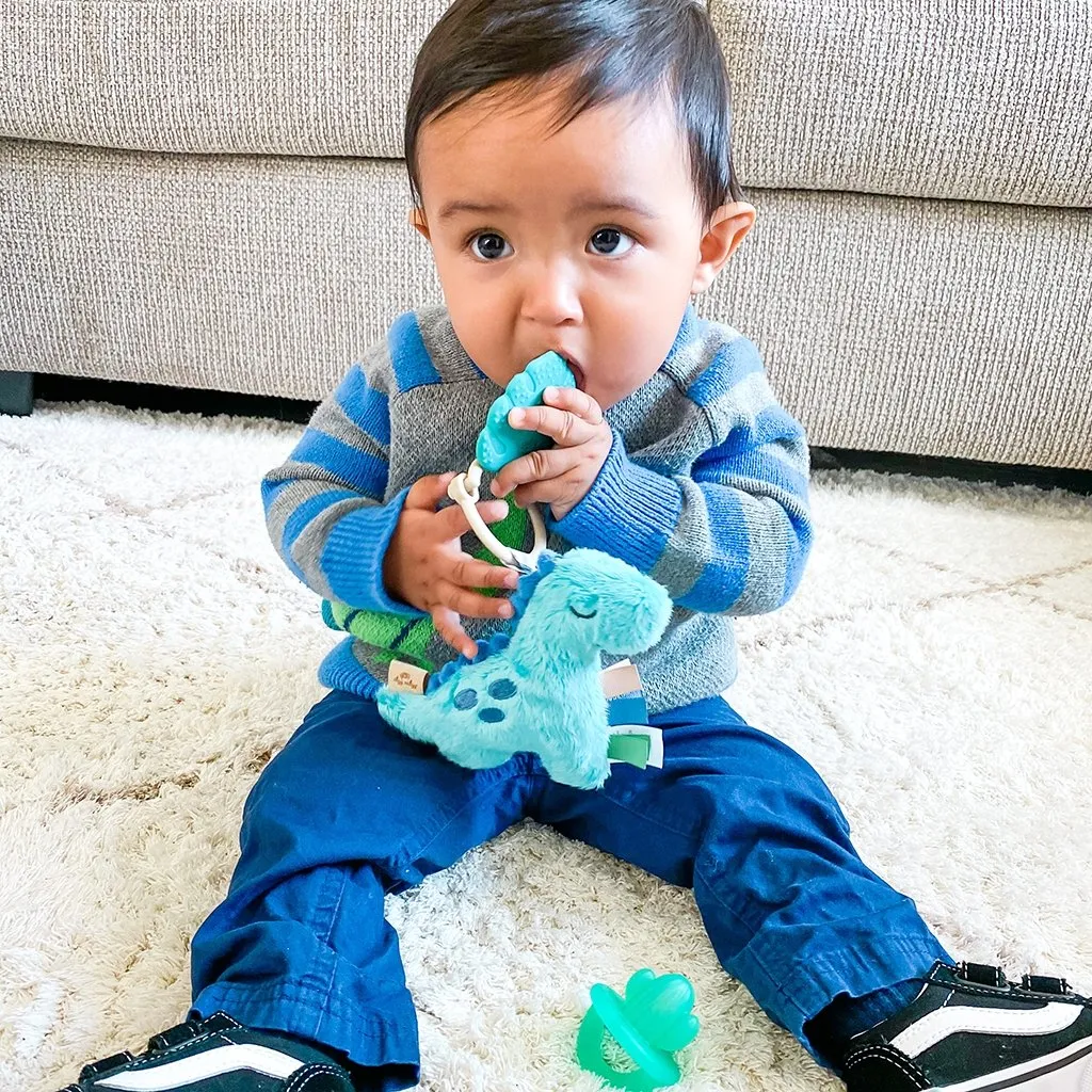 Itzy Pal™ Plush   Teether - Dino