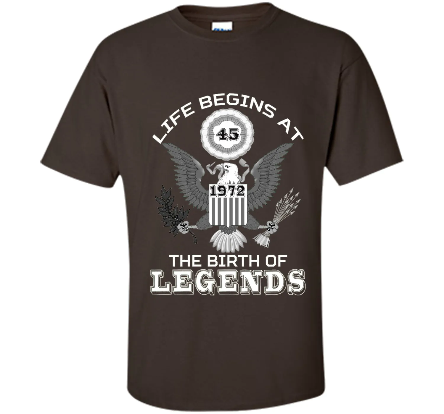 Life Begins at 45 T Shirt The Birth of Legends Tee Gift cool shirt