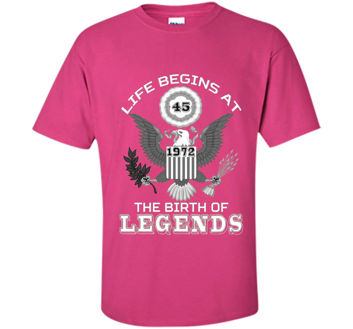 Life Begins at 45 T Shirt The Birth of Legends Tee Gift cool shirt
