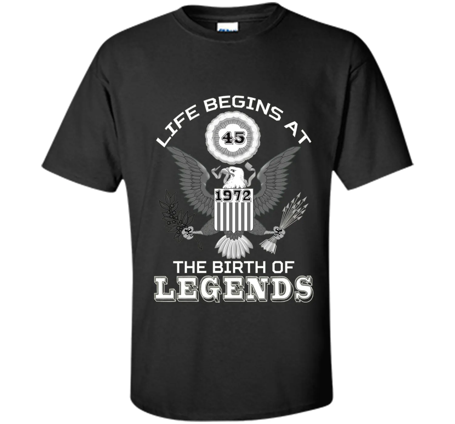 Life Begins at 45 T Shirt The Birth of Legends Tee Gift cool shirt