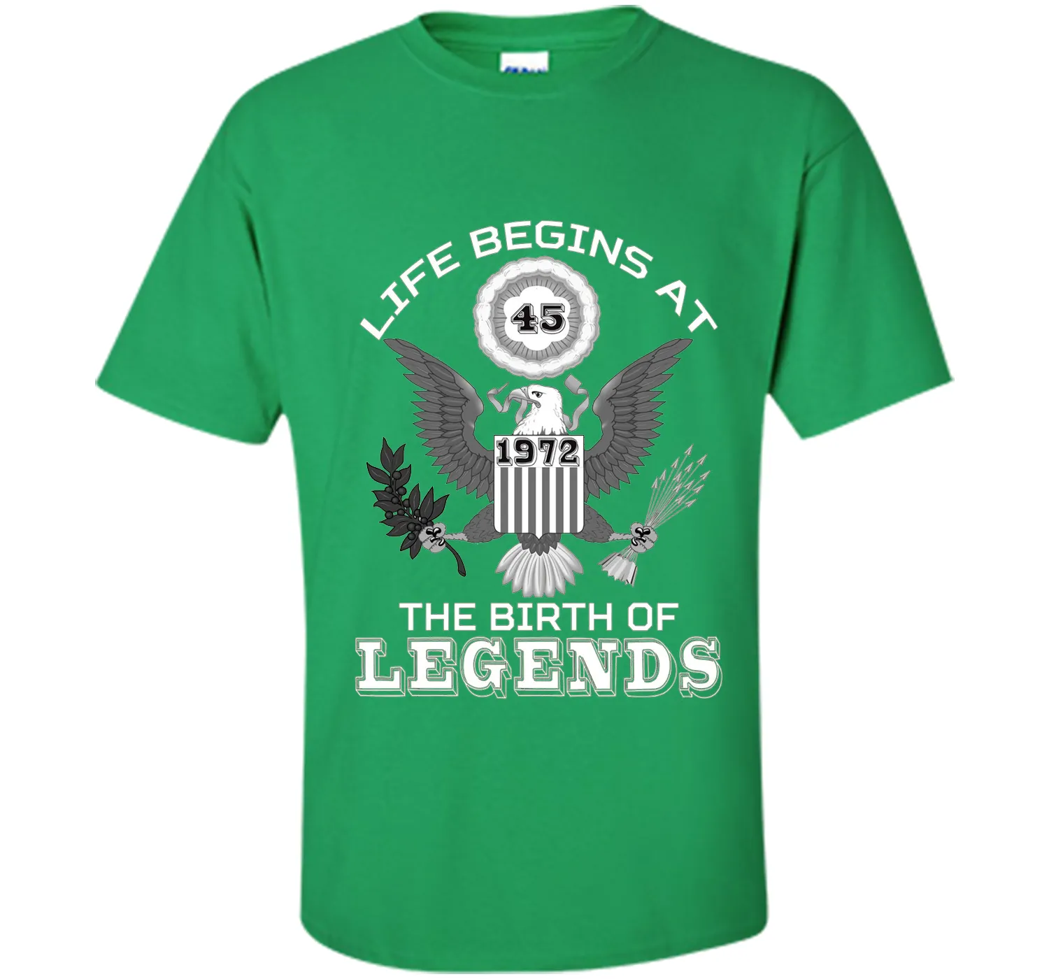 Life Begins at 45 T Shirt The Birth of Legends Tee Gift cool shirt