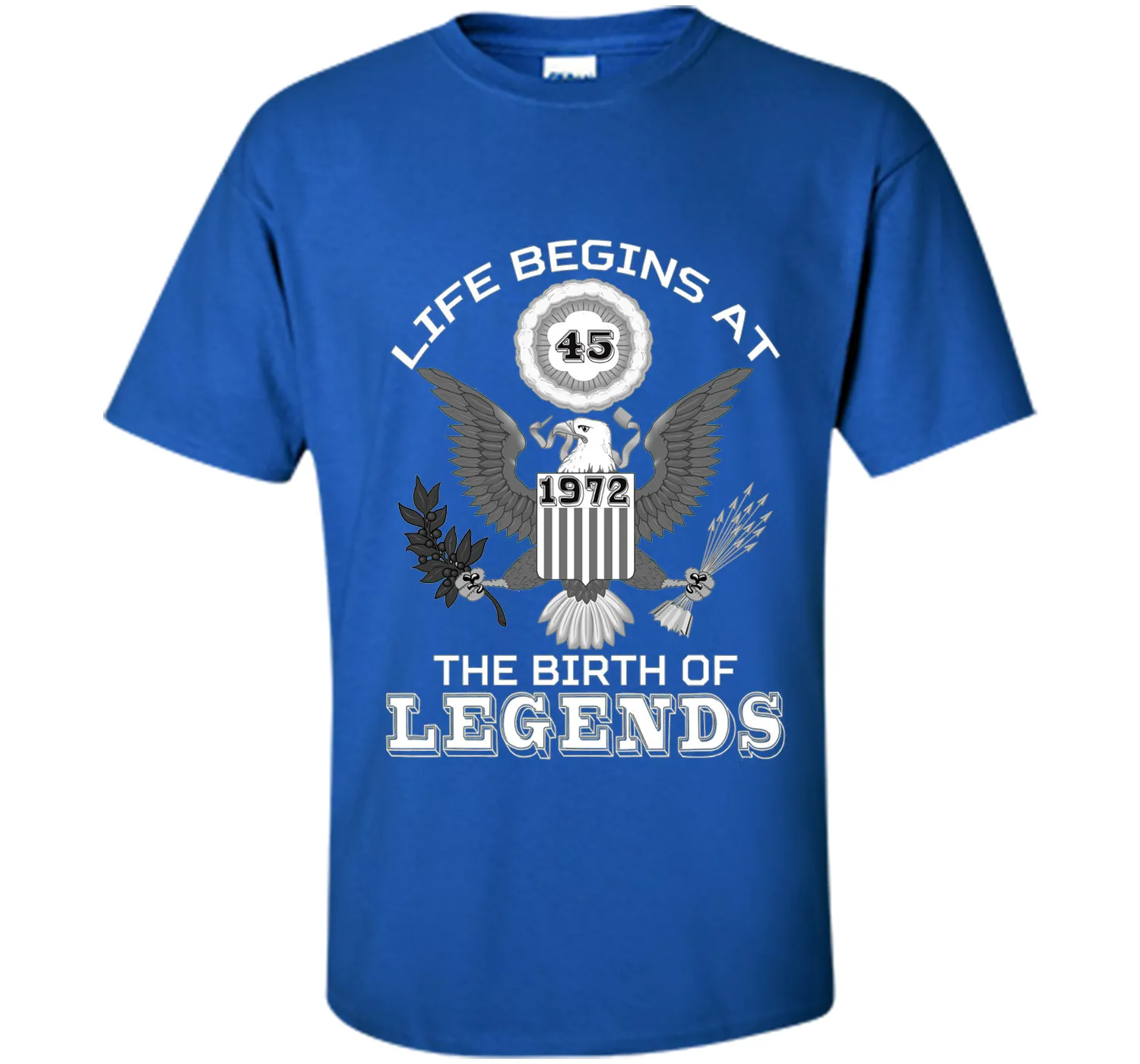Life Begins at 45 T Shirt The Birth of Legends Tee Gift cool shirt
