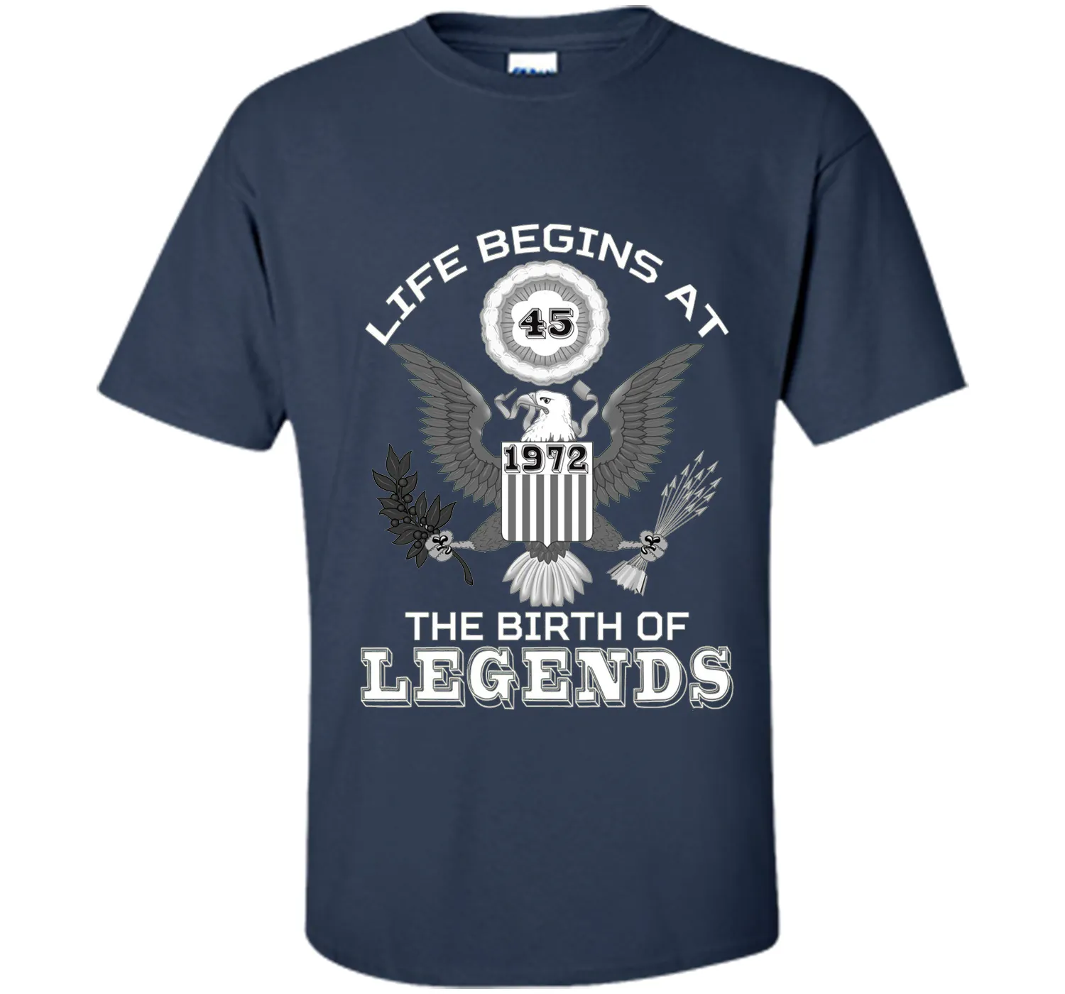Life Begins at 45 T Shirt The Birth of Legends Tee Gift cool shirt