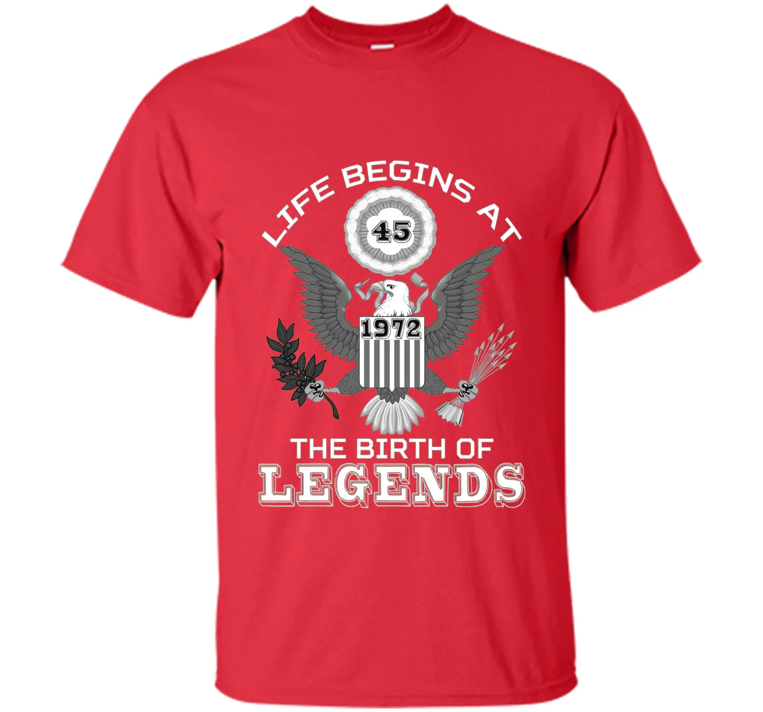 Life Begins at 45 T Shirt The Birth of Legends Tee Gift cool shirt
