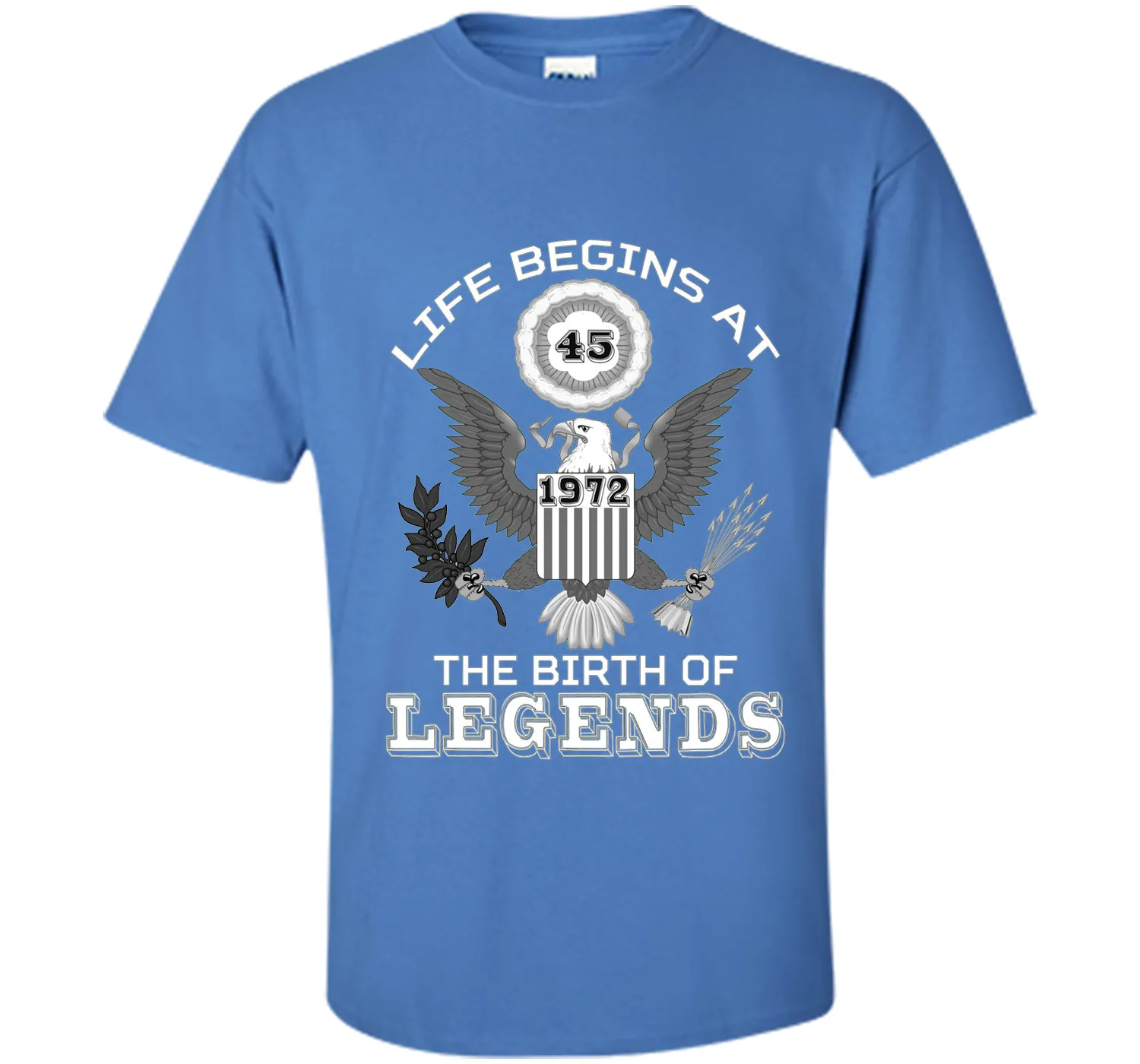 Life Begins at 45 T Shirt The Birth of Legends Tee Gift cool shirt