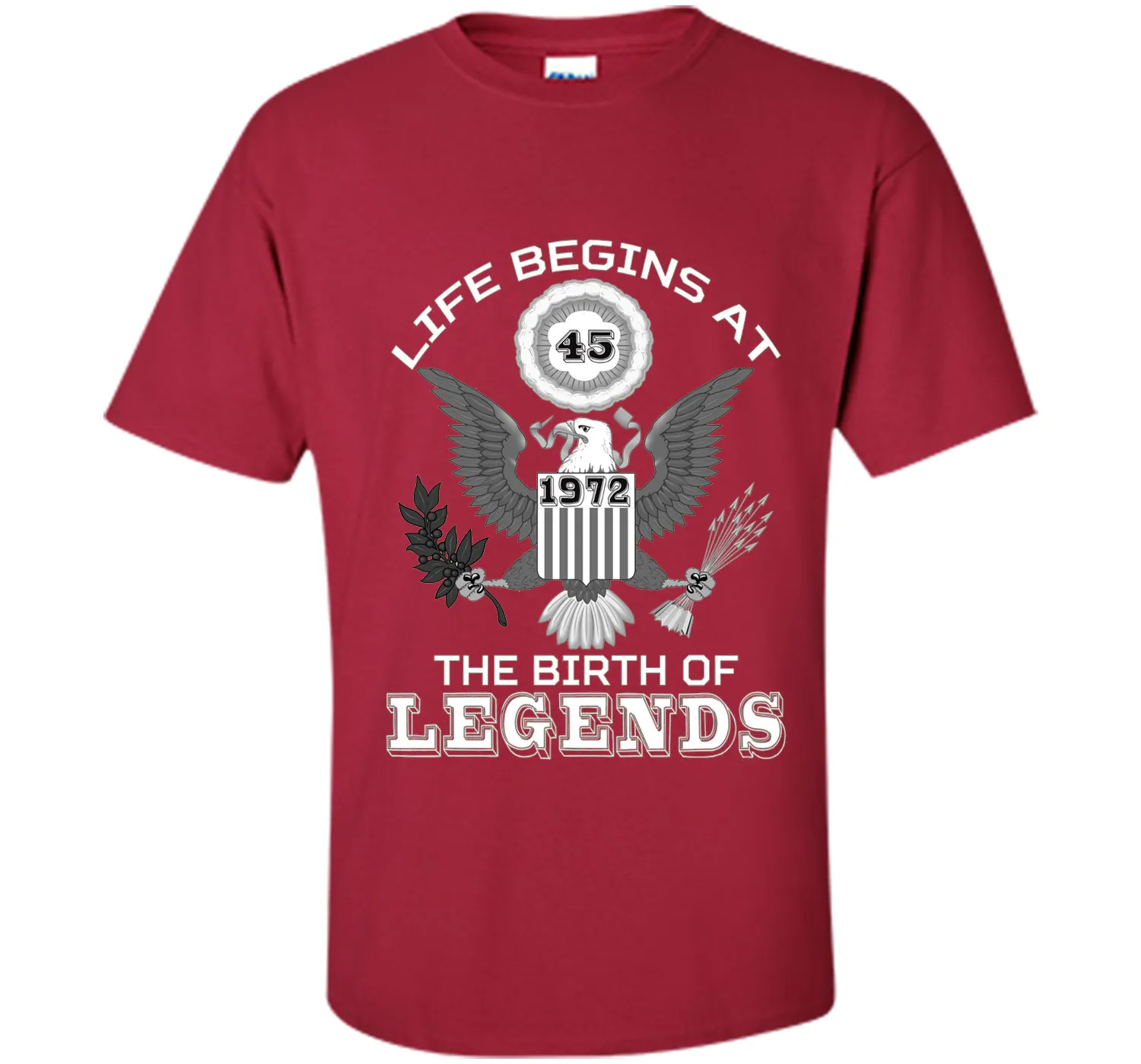 Life Begins at 45 T Shirt The Birth of Legends Tee Gift cool shirt