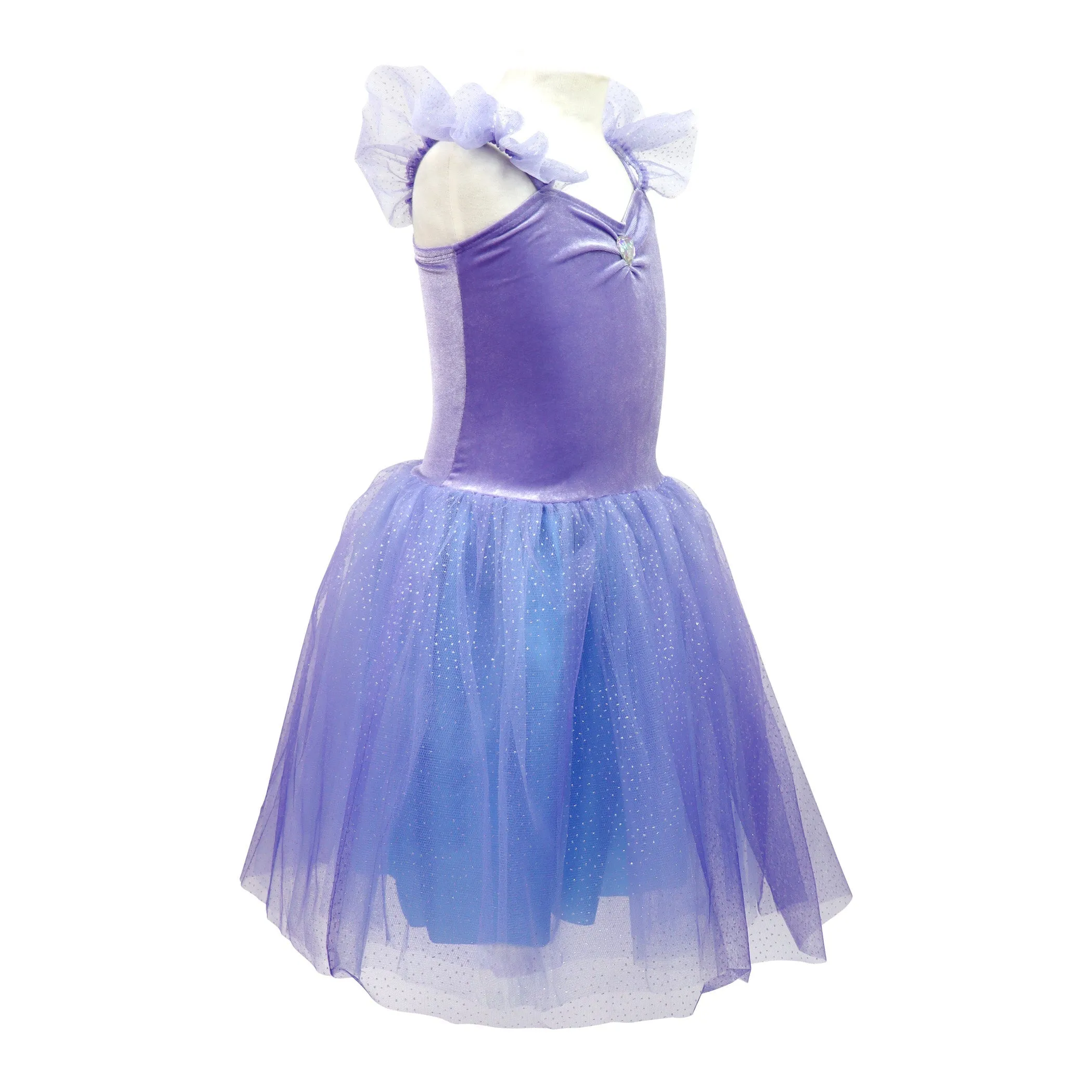 Princess Violet Velvet Dress with Tulle Skirt