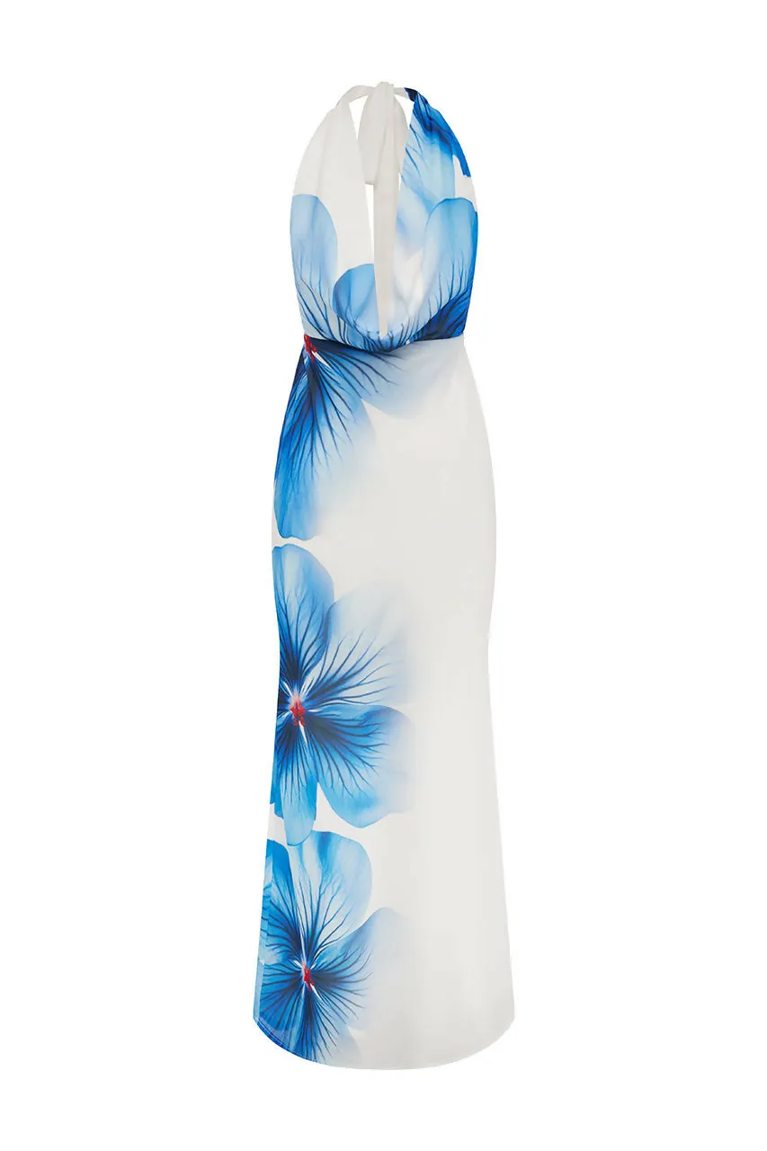 Runaway Jasmina Dress in Blue Flower