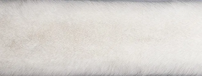 Throw of Fox